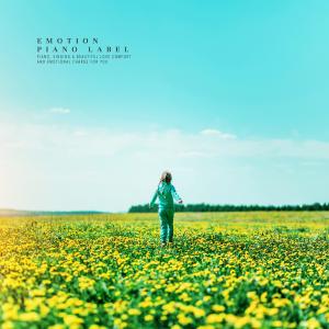 Album Sensibility New Age to convey the message of healing to students' hearts from Various Artists