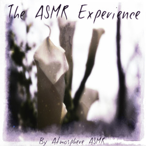 Atmosphere Asmr的專輯The Asmr Experience