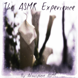收聽Atmosphere Asmr的Brushing Cotton Swabs歌詞歌曲