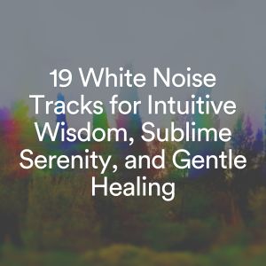Album 19 White Noise Tracks for Intuitive Wisdom, Sublime Serenity, and Gentle Healing from White Noise