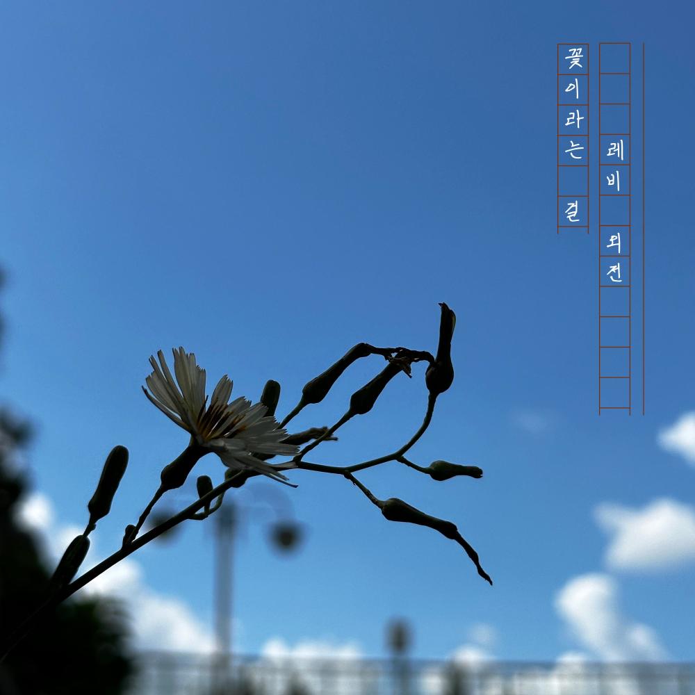 레비 외전 - 꽃이라는 걸