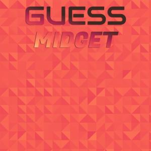 Various Artists的專輯Guess Midget