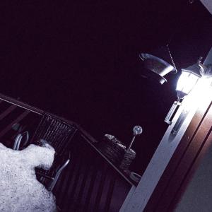 Album Kaks tapaa puhua tai olla hiljaa (Explicit) from Nessi