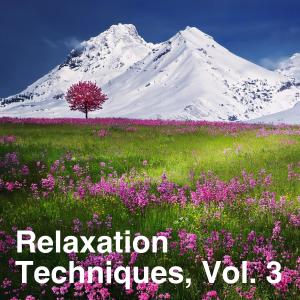 White Noise Collectors的專輯Relaxation Techniques, Vol. 3