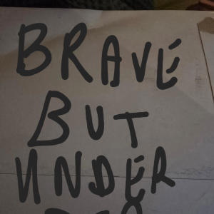 收聽John Donegan的BRAVE BUT UNDER歌詞歌曲