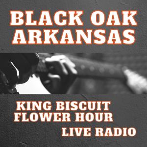 ดาวน์โหลดและฟังเพลง Love On Ice (Live) พร้อมเนื้อเพลงจาก Black Oak Arkansas