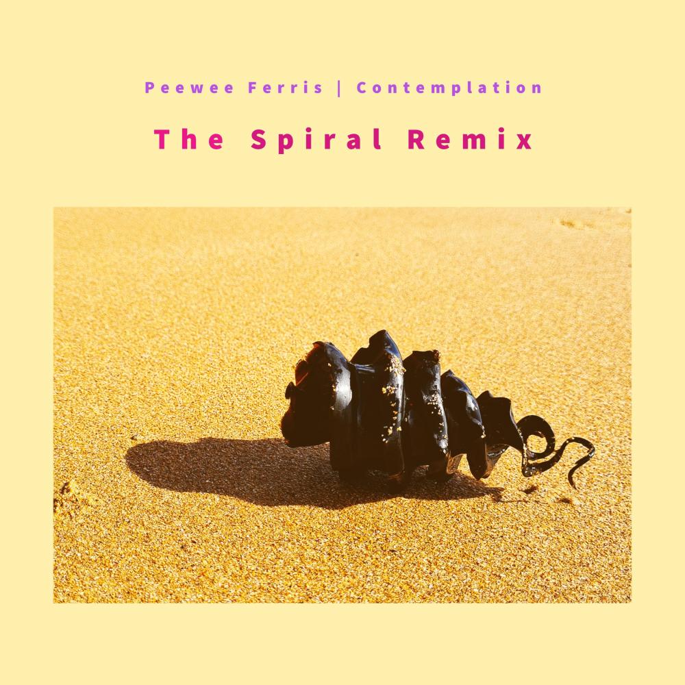 Contemplation (The Spiral Remix)
