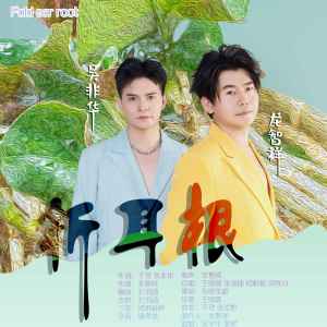 Listen to 折耳根 (伴奏) song with lyrics from 龙智祥