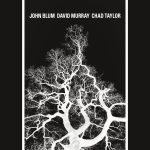 John Blum的專輯The Recursive Tree