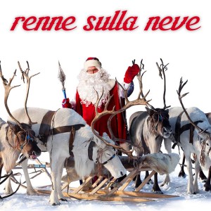 Album Renne sulla neve oleh Various Artists