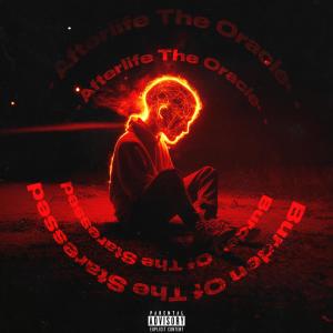 Meta4ikal Oracle的專輯Burden Of The Starseed (Explicit)