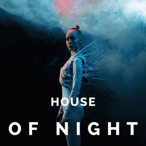 Listen to House of Night song with lyrics from Sevenn
