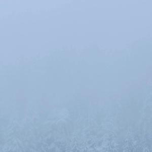 收听Trinaural In Dub的Zodar歌词歌曲