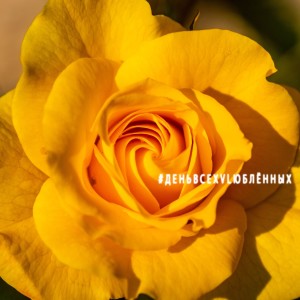 Listen to Я тебя всегда услышу song with lyrics from Алексей Багичев
