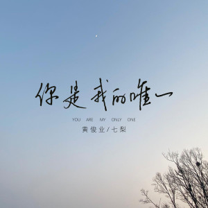 黄俊业的专辑你是我的唯一