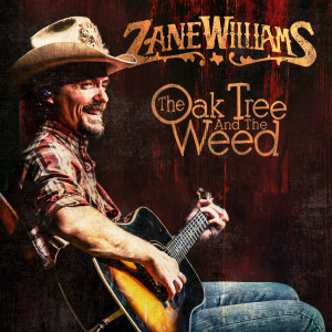 Listen to People Like Me song with lyrics from Zane Williams