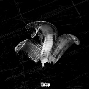 อัลบัม Three-Headed Snake (feat. unruly) (Explicit) ศิลปิน Maxwell B
