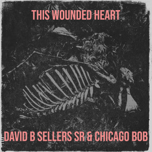 收聽David B Sellers Sr的This Wounded Heart (Explicit)歌詞歌曲