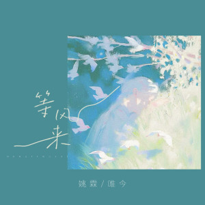 Listen to 等风来 song with lyrics from 姚霖
