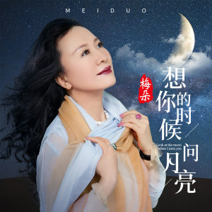 Listen to 想你的时候问月亮 (伴奏) song with lyrics from 梅朵