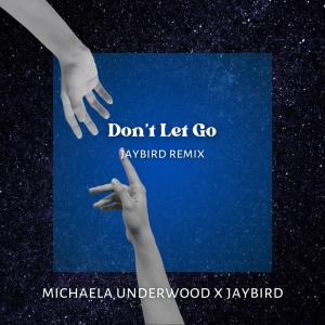 Jaybird的專輯Don't Let Go (JayBird Remix)