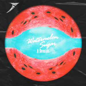 Listen to Watermelon Sugar x Seaside ((Slowed + Reverb)) (Radio Edit) song with lyrics from Eduardo XD