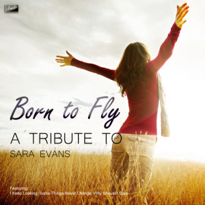 ดาวน์โหลดและฟังเพลง Born to Fly พร้อมเนื้อเพลงจาก Ameritz Tribute Club