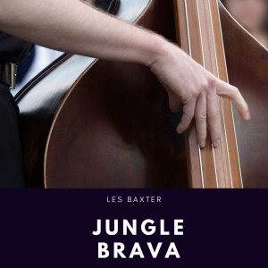 Les Baxter and His Orchestra的專輯Jungle Brava