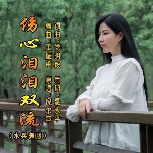 Album 伤心泪泪双流（水兵舞版） from 倪尔萍