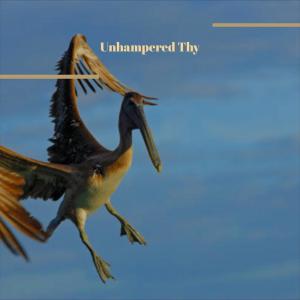 Listen to Themselves Protuberance song with lyrics from Brisa Kondor