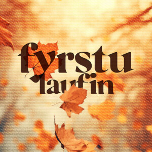 Album Fyrstu laufin from Á Móti Sól