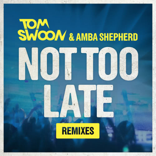 Not Too Late (Original Mix)