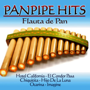 收聽Marco Vinicio的Angie (Panpipe version)歌詞歌曲