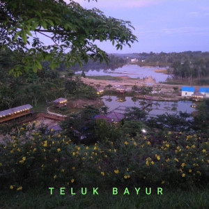 收听Noell的Teluk Bayur歌词歌曲