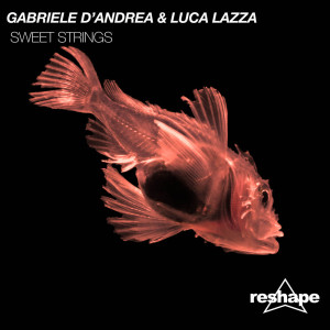 收聽Gabriele 'D'Andrea的Sweet Strings (Original Mix)歌詞歌曲