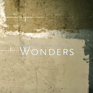 收听Brianthomashornmusic的Wonders歌词歌曲