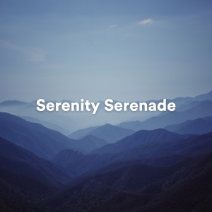 Serenity Serenade: Calming Ambient Melodies for Deep Relaxation