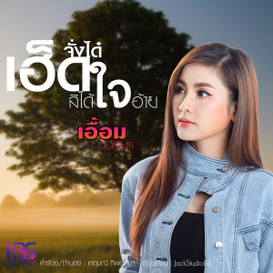 อัลบัม เฮ็ดจั่งได๋สิได้ใจอ้าย - Single ศิลปิน เอื้อม นันทิยา