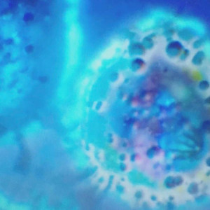 收听Balious的弥留歌词歌曲