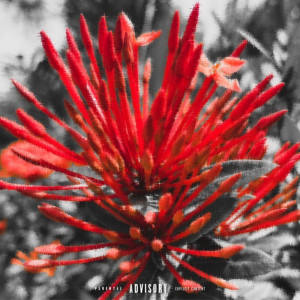 Dengarkan Kurenai (Explicit) lagu dari Avy dengan lirik