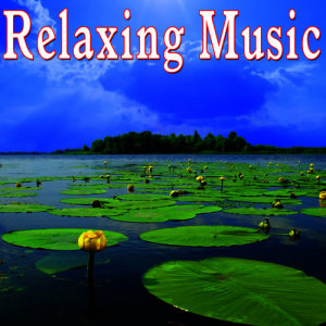 ดาวน์โหลดและฟังเพลง Delayed Joy (Soothing) พร้อมเนื้อเพลงจาก Music for Meditation and Relaxation