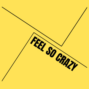Album Feel so Crazy from LeMon Traxx