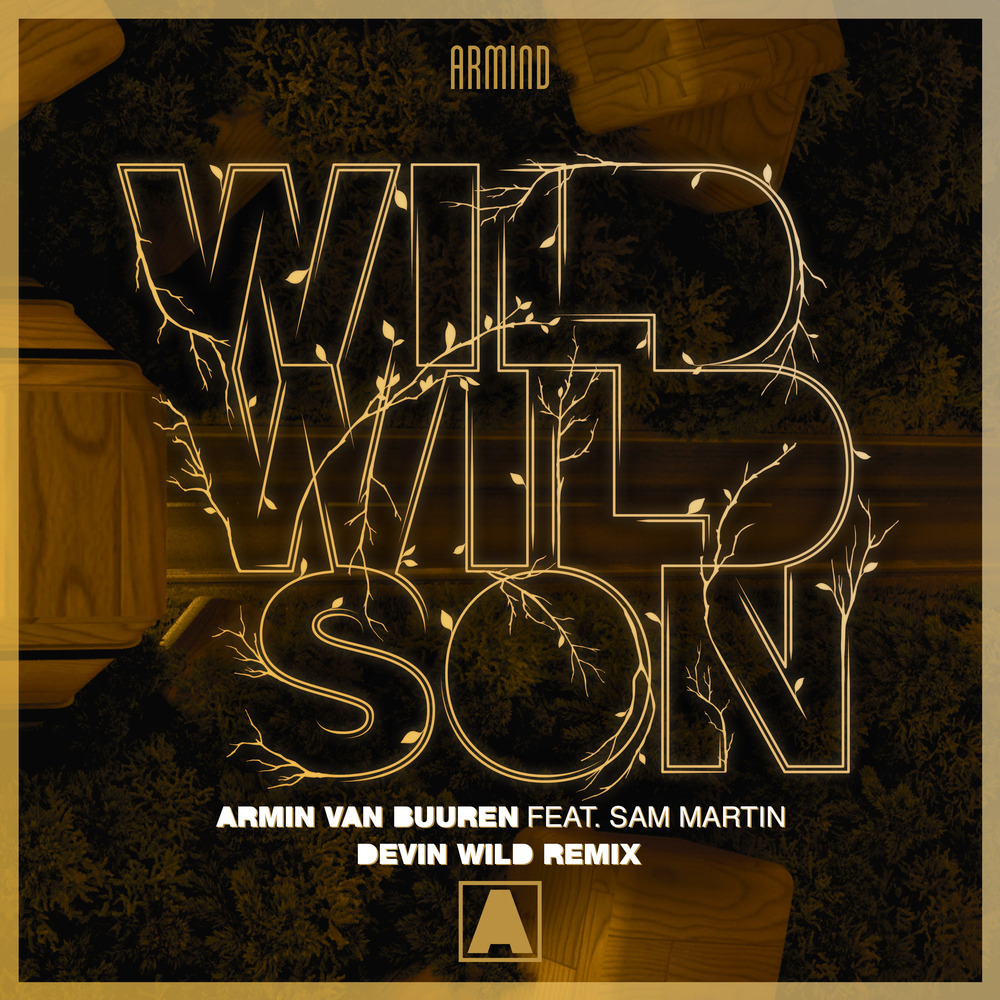 Wild Wild Son (Devin Wild Extended Remix)