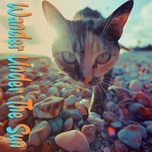收聽SKUNK的Orange lounge歌詞歌曲