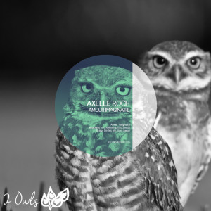 ดาวน์โหลดและฟังเพลง Weakness พร้อมเนื้อเพลงจาก Axelle Roch