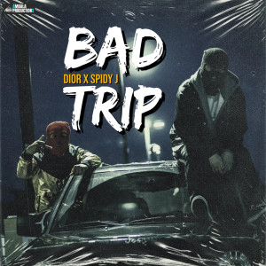 Album Bad Trip from The Nsing