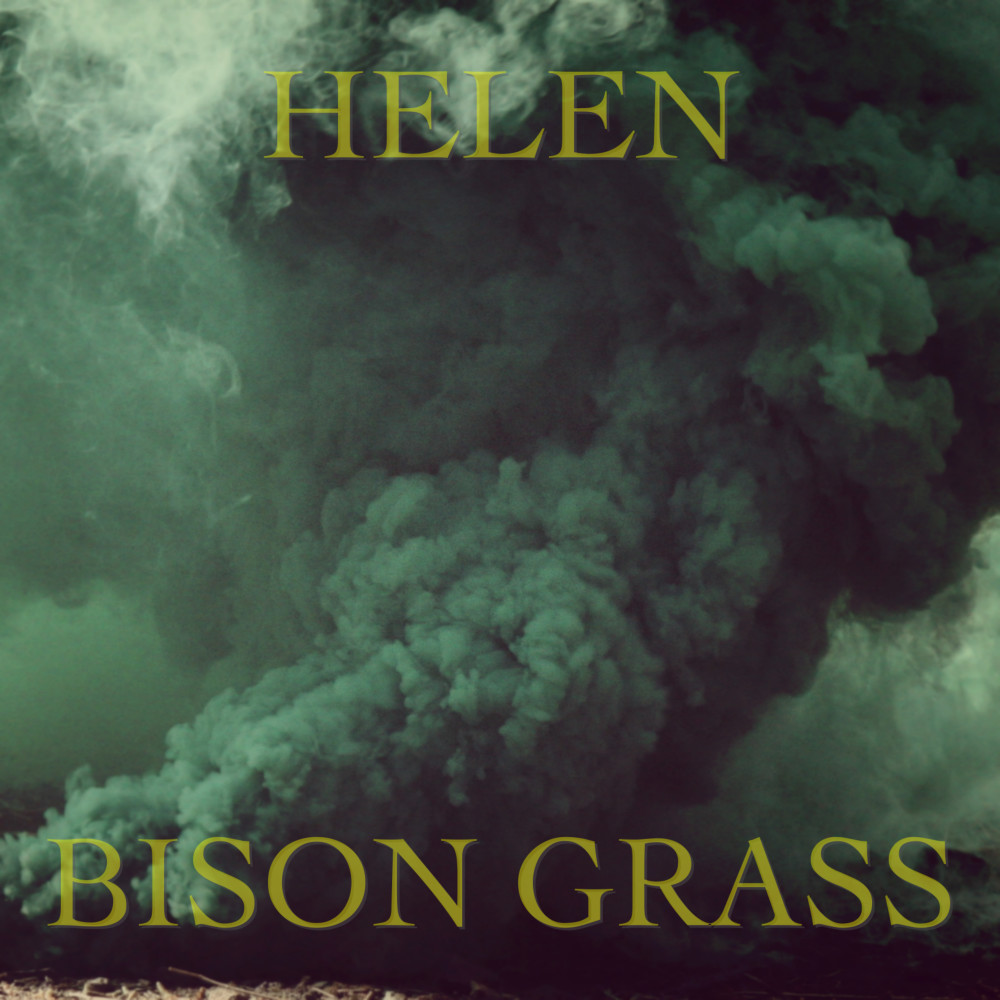 Bison Grass