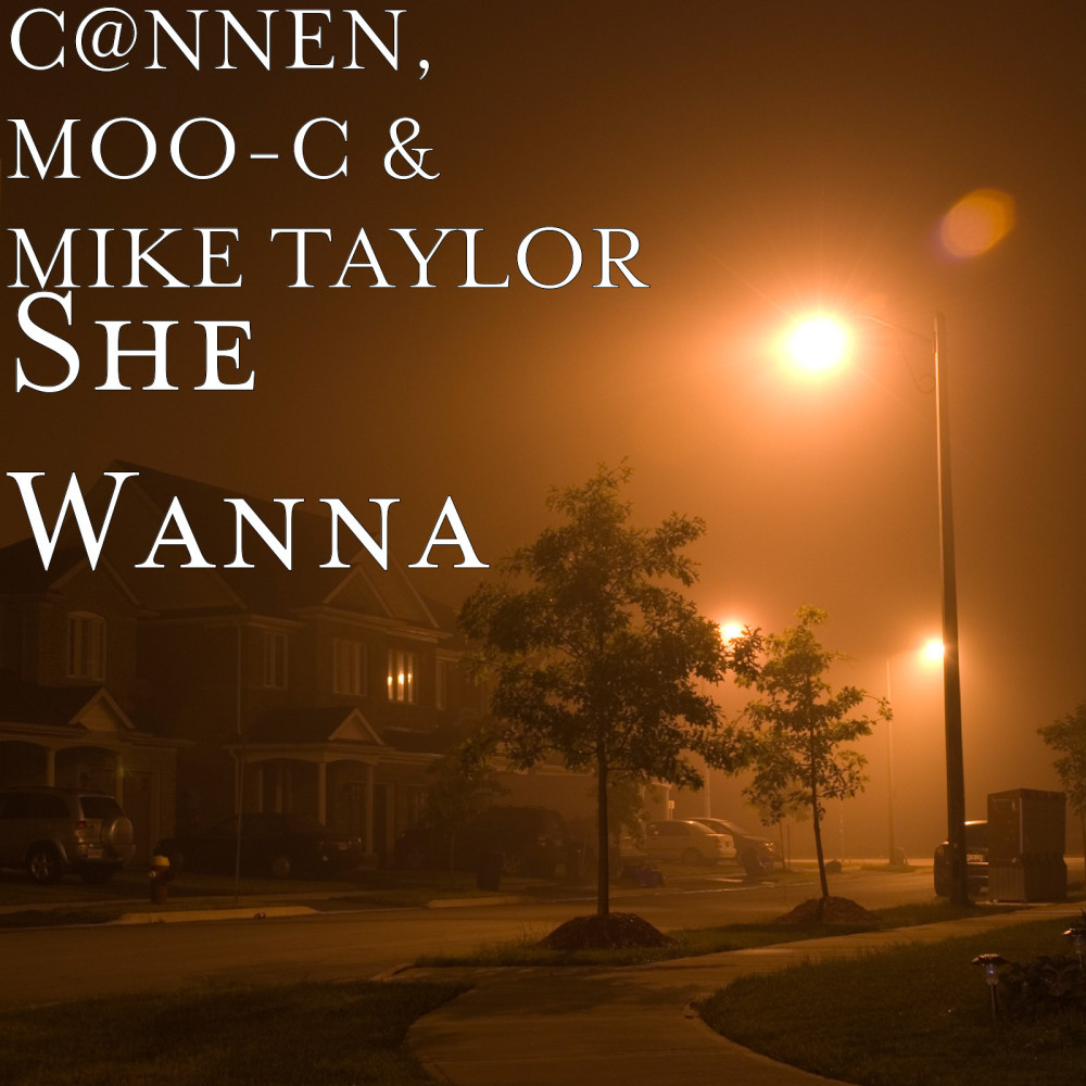 She Wanna (Explicit)