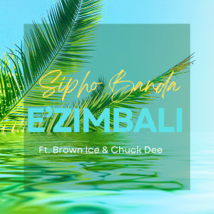 Album E'zimbali from Brown Ice