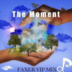 Album The Moment (VIP Mix) from Faxer